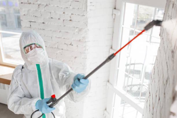 Best Asbestos and Lead Testing During Mold Inspection  in Garden Home Whitfd, OR