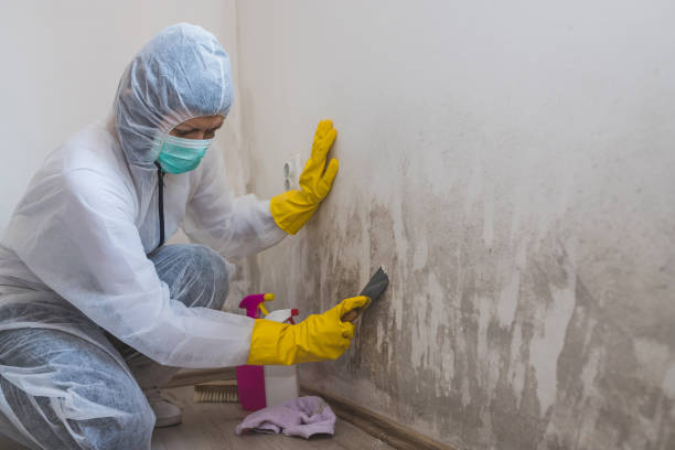 Best Mold Odor Removal Services  in Garden Home Whitfd, OR