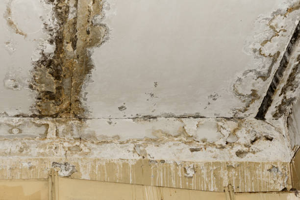 Best Air Quality Testing for Mold Spores  in Garden Home Whitfd, OR