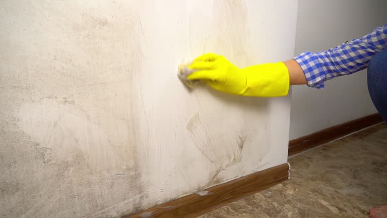 Best Mold Odor Removal Services  in Garden Home Whitfd, OR