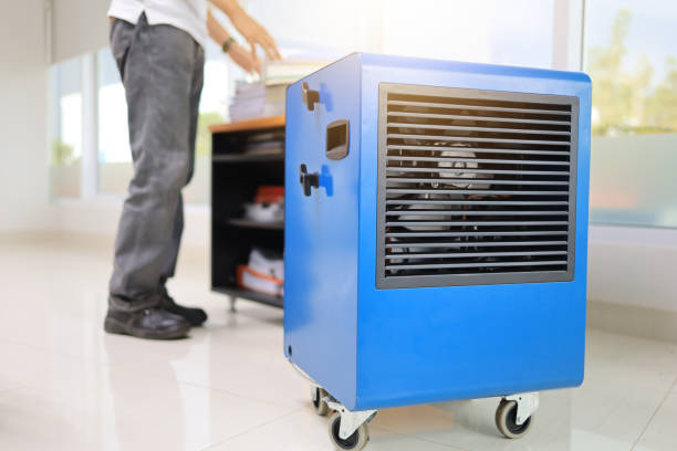 Best Mold Documentation for Insurance Claims  in Garden Home Whitfd, OR